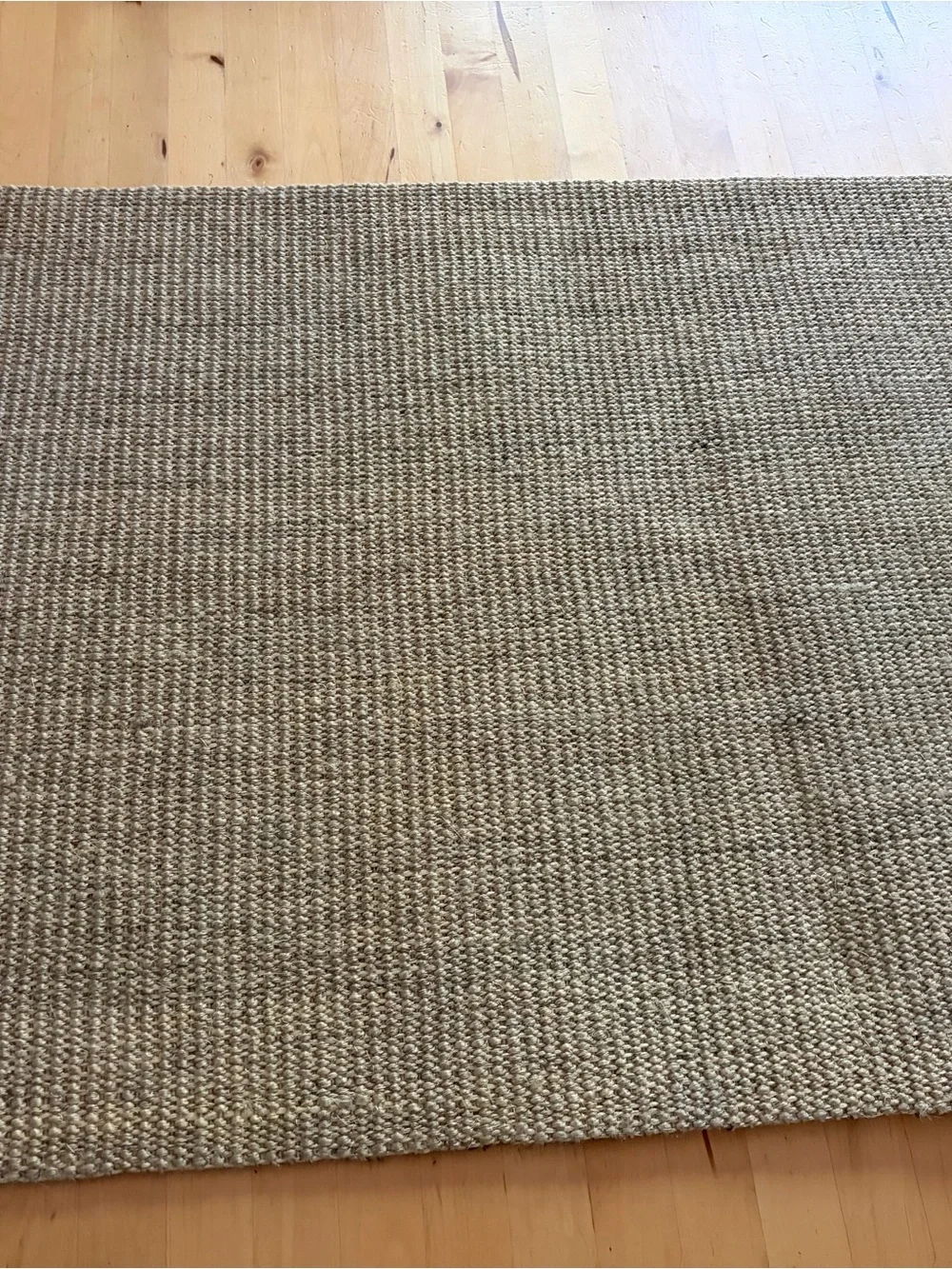 Neutral Woven Area Rug - Natural Beige